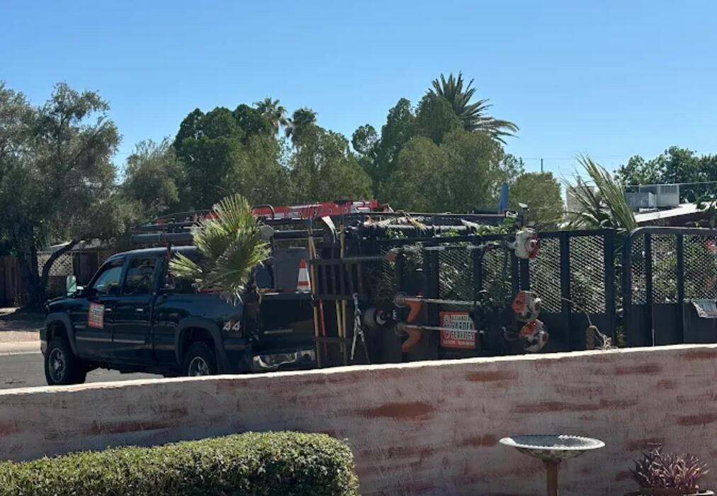 Alexanders Garden Services hauling Alexanders Garden Services hauling dumping tucson